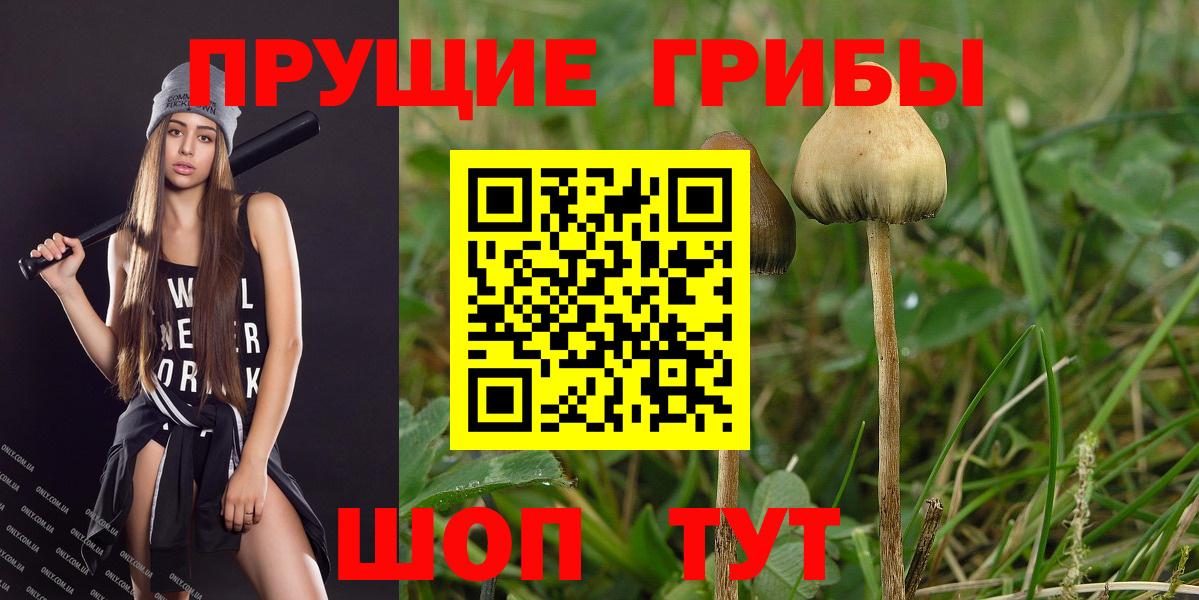 Галлюциногенные грибы Cubensis Александров