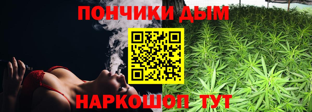 Бошки Шишки сатива Александров